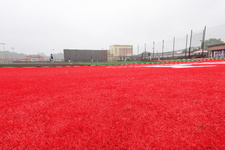 Enlarge photo 430