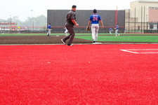 Enlarge photo 432