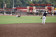 Enlarge photo 481