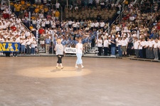 Enlarge photo 106