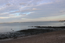 Enlarge photo 71