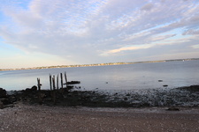 Enlarge photo 72