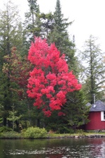 Enlarge photo 33