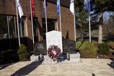 Enlarge photo 43