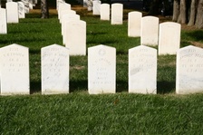 Enlarge photo 34