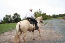 Enlarge photo 31