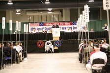 Enlarge photo 21