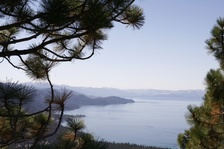 Enlarge photo 3