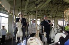Enlarge photo 26
