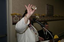 Enlarge photo 72