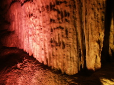 Enlarge photo 35