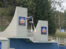 Enlarge photo 26