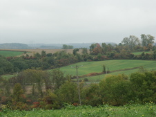 Enlarge photo 61