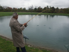 Enlarge photo 62