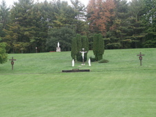 Enlarge photo 65