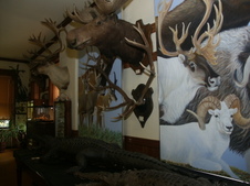 Enlarge photo 35