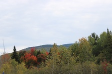 Enlarge photo 42