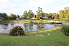 Enlarge photo 162