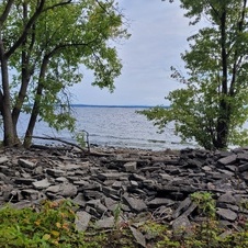 Enlarge photo 29