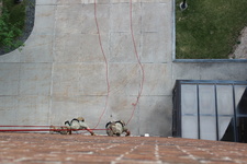 Enlarge photo 165