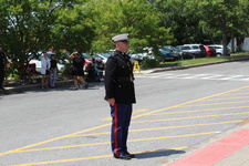 Enlarge photo 231