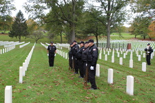 Enlarge photo 51