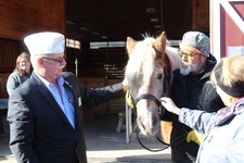 Enlarge photo 24