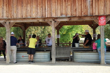 Enlarge photo 45