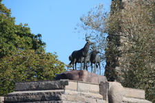 Enlarge photo 34