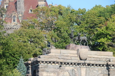 Enlarge photo 35