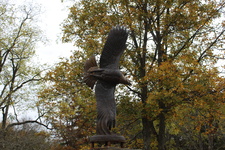Enlarge photo 27