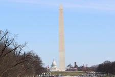 Enlarge photo 37
