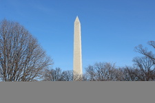 Enlarge photo 41