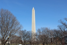 Enlarge photo 43