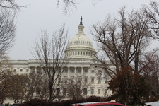 Enlarge photo 106