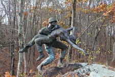 Enlarge photo 39