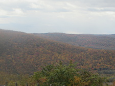 Enlarge photo 3