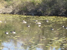 Enlarge photo 24