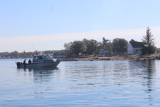 Enlarge photo 24