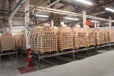 Enlarge photo 37