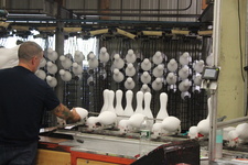 Enlarge photo 53