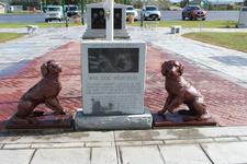 Enlarge photo 36