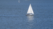 Enlarge photo 221
