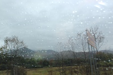 Enlarge photo 82