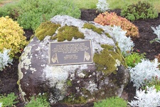 Enlarge photo 98