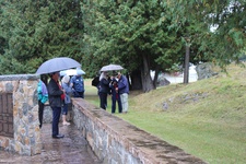 Enlarge photo 146