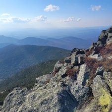 Enlarge photo 34