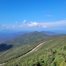 Enlarge photo 37