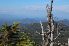 Enlarge photo 41