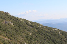Enlarge photo 45